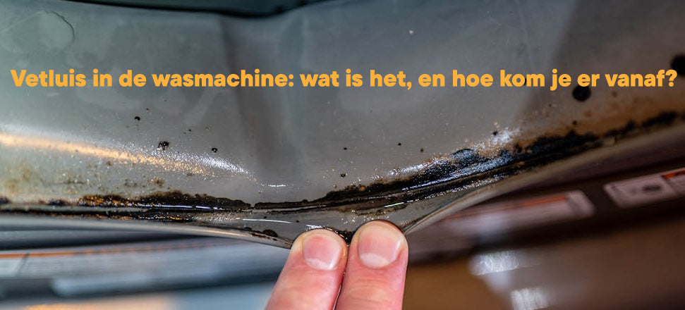 Vetluis in de wasmachine: De complete gids