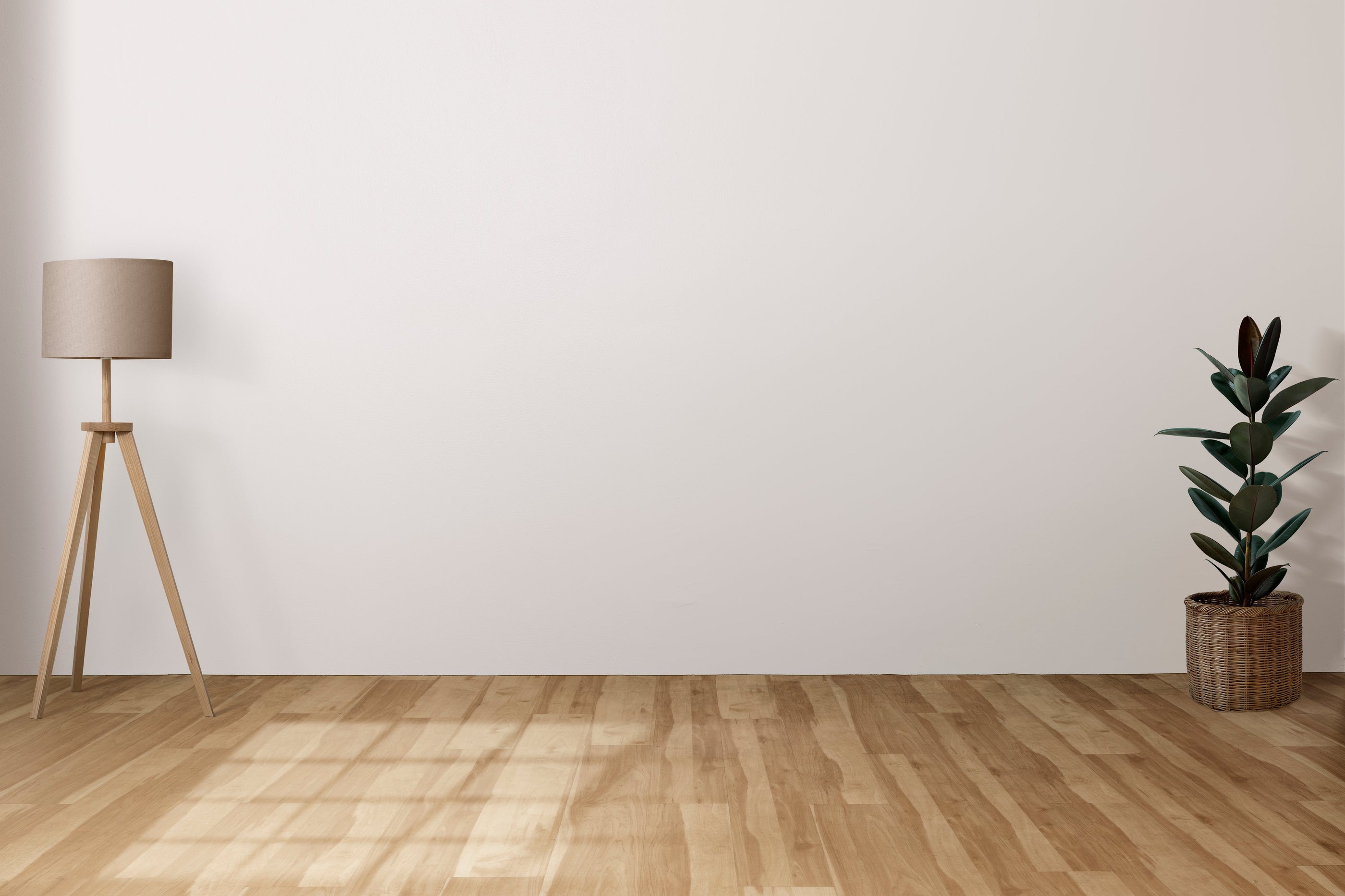 Kamerplanten, air-conditioning en wasgeur: waarom je was anders ruikt in andere ruimtes - Simplewas