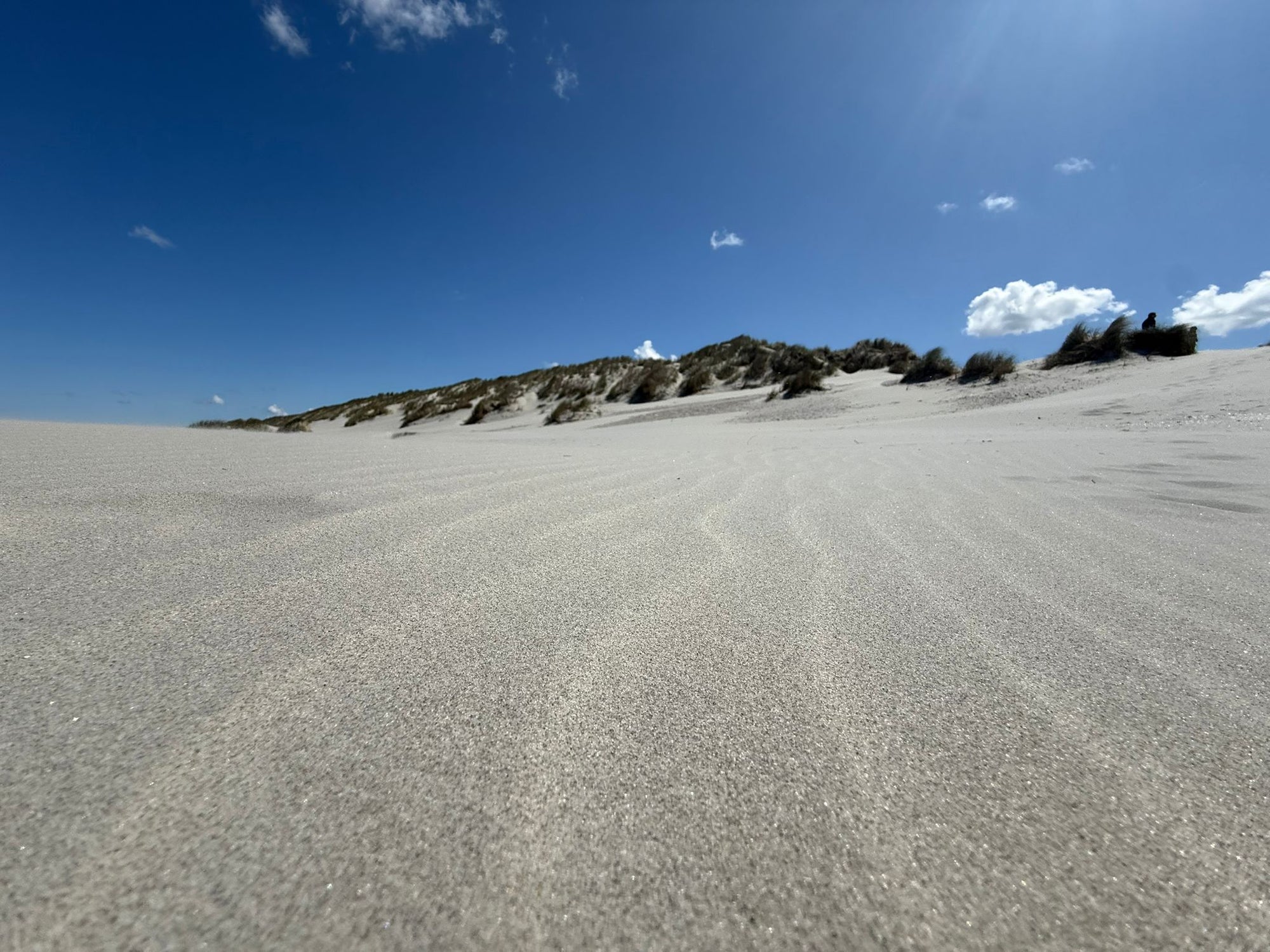 Van strip tot schone was - Simplewas